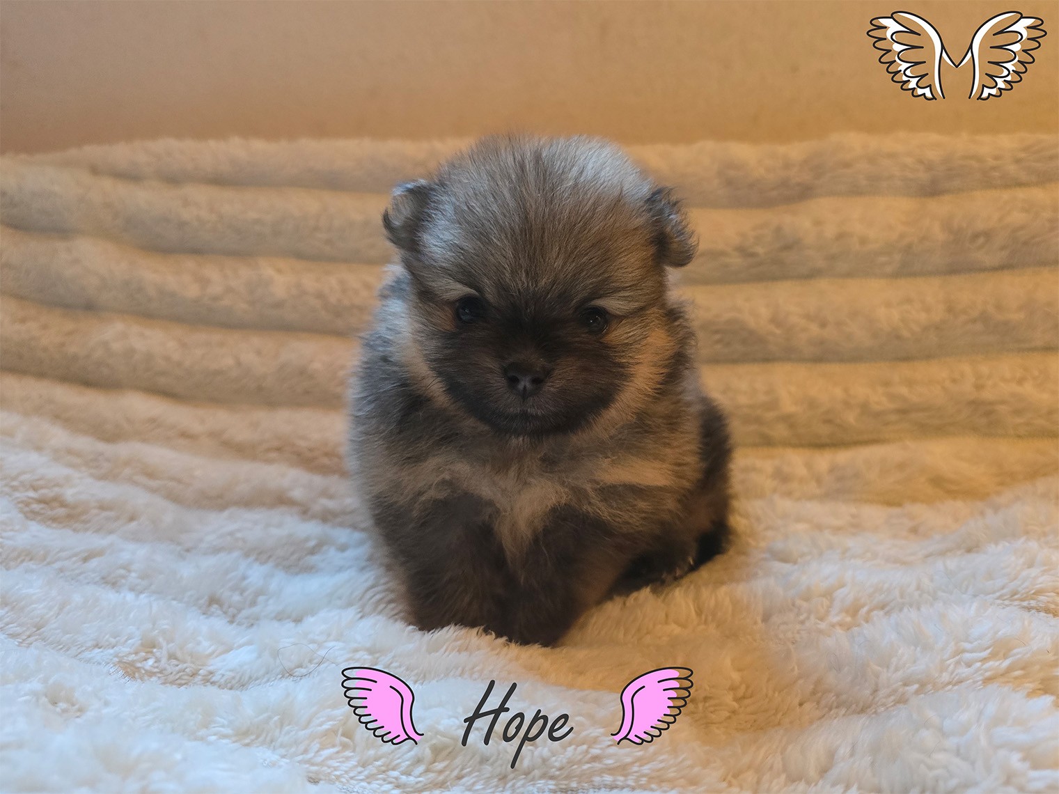 Hope